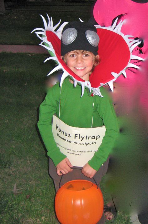 Venus Flytrap Venus Fly Trap Halloween Costume, Venus Costume, Venus Fly Trap Costume Diy, Venus Flytrap Costume, Venus Fly Trap Costume, Diy Venus Fly Trap Halloween Costume, Halloween Venus Fly Trap, Venus Fly Trap Headpiece, Fly Costume