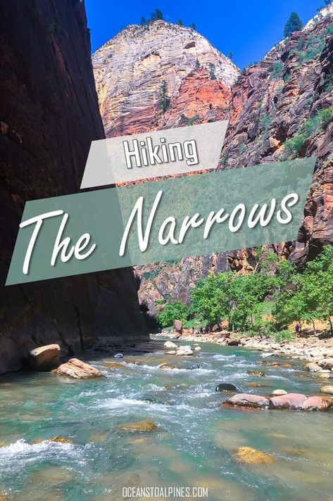 Visit one of the most popular hikes at Zion National Park: The Narrows. Hiking the Narrows is a unique experience as a majority of the trail consist of walking in a stream that winds through a canyon. Learn more about this beautiful hike! #zionnationalpark #hiking #thenarrows Hiking Locations, Hiking Inspiration, Hiking The Narrows, Mountain Gear, The Narrows, Adventure Tourism, Slot Canyon, Utah Travel, Beautiful Hikes