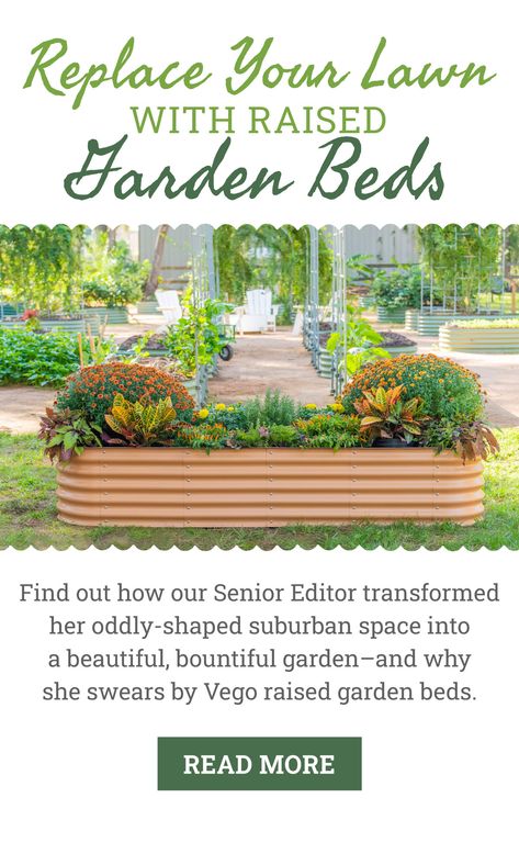 Up To 60% Off Raised Garden Beds From Vego Raised Bed Layout, Bed Layout, Raised Bed, Edible Garden, Raised Beds, Raised Garden Beds, Raised Garden, Garden Beds, Garden Inspiration