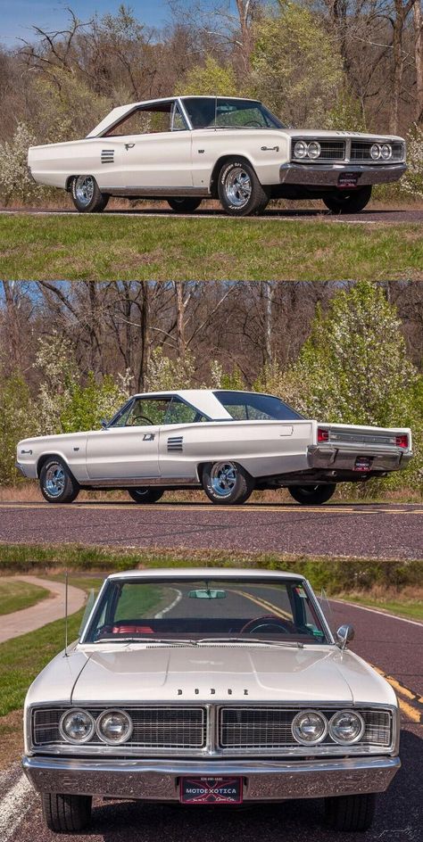 1966 Dodge Coronet 500 67 Dodge Coronet, 1966 Dodge Coronet, Dodge Coronet 500, Flashy Cars, Chrysler Cars, Dodge Muscle Cars, Muscle Cars For Sale, Mopar Muscle Cars, Dodge Coronet