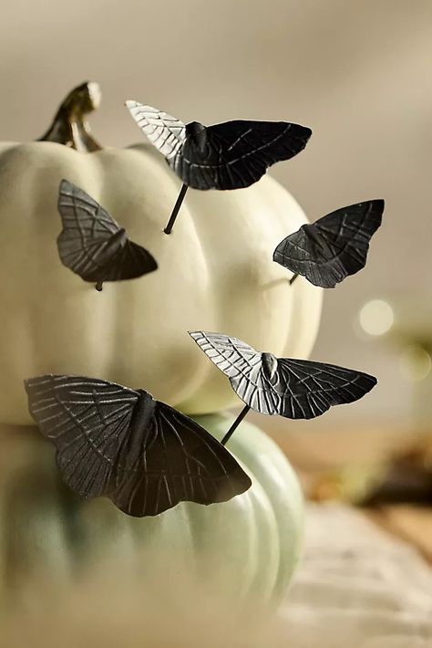 Anthropologie Halloween, Cast Iron Decor, The Foggy Dog, Halloween Trends, Spooky Black, The Moth, Night Flowers, Glass Pumpkins, Fall Halloween Decor