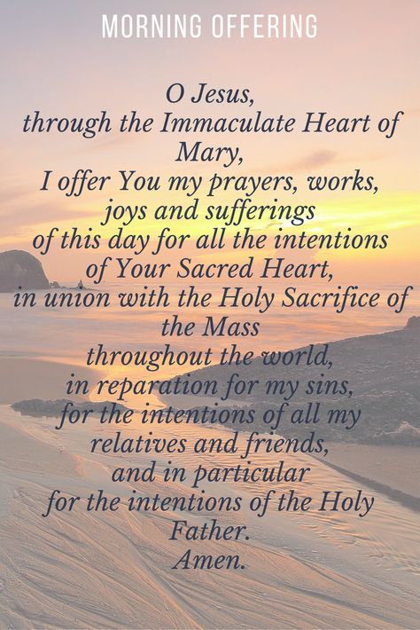 Morning Offering Prayer Morning Offering Prayer Catholic, Morning Catholic Prayer, Catholic Morning Prayer, Classroom Prayer, Prayers Morning, Prayer Morning, Catholic Saints Prayers, Faith Aesthetic, Morning Offering