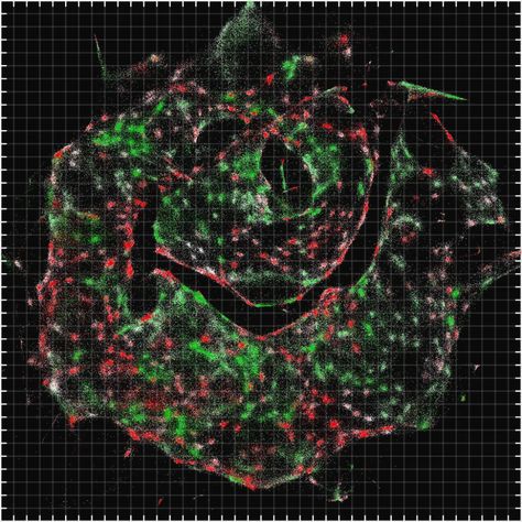 Dna Microscope, Human Dna, Cell Tower, Cell Biology, Things Under A Microscope, A Cell, The Cell, See The World, Computer Programming