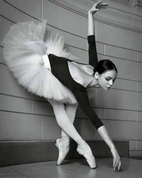 Ballet Dance Photography, Ballet Images, Dance Photo Shoot, Dance Picture Poses, Dancer Photography, Dance Photography Poses, Dance Dreams, Ballet Poses, Ballet Art