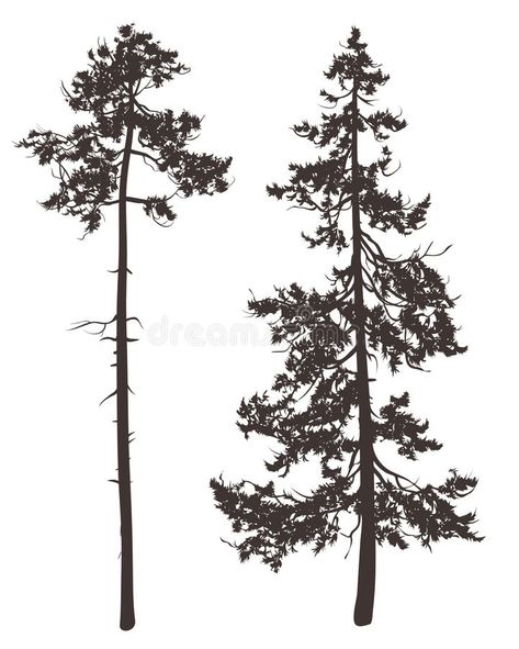 Pine. Silhouettes of two pine trees on a white background #Sponsored , #AFFILIATE, #Affiliate, #Silhouettes, #background, #white, #Pine Tree Silhouette Tattoo, Pine Tattoo, Pine Tree Drawing, Silhouette Tattoo, Pine Tree Painting, Pine Tree Silhouette, Pine Tree Tattoo, Tree Drawings Pencil, Pine Trees Forest