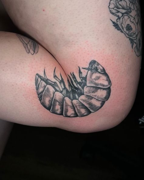 💥 KNEE SHOT💥 thank you for the trust @isa.m.madera! I love this placement! Who else played with Rollie Pollies as a kid? . . Artist: @sicknesstattoos Done at @rotorandkoiltattooparlor . TATTOO INQUIRY! 🐜 NAME/PRONOUNS ���🐛 DESIGN REFERENCES/DESCRIPTION 🪲 APPROX. SIZE 🐞 BUDGET (optional) 🕷️ DAYS AVAILABLE . . . DM to book an appointment! Or text (213)465-0112 . Located in DTLA @rotorandkoiltattooparlor . . . . . . . . #losangelestattoos #DTLA #ArtsDistrict #sicknesstattoos #tattooideas ... Rollie Pollie Tattoo, Rolly Polly Tattoo, Rollie Pollie, Los Angeles Tattoo, Elbow Tattoos, Knee Tattoo, Book An Appointment, Permanent Marker, Tattoo Inspo