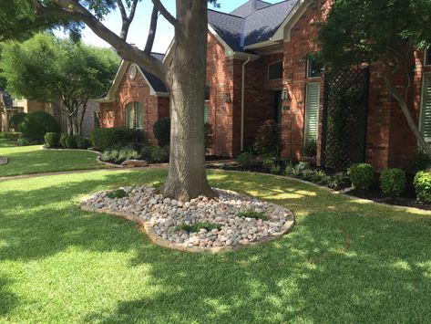 Landscaping Under Trees, Landscape Around Trees, Large Yard Landscaping, Mulch Around Trees, Tree Mulch, Landscape Garden Ideas, Tree Landscaping, Curb Appeal Landscaping, How To Landscape