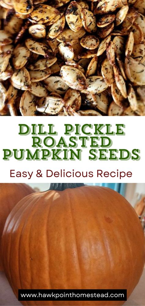 Dill pickle roasted pumpkin seeds are a different take on the wonderful snack of pumpkin seeds. Mix yummy dill pickles with the crunchy pumpkin seeds and you get a delicious fall snack!
One of my favorite things about pumpkin carving and Fall is roasting the pumpkin seeds.
Enjoy these delicious crunchy pumpkin seeds with the wonderful dill pickle flavor. Pumpkin seeds are a healthy and satisfying snack that are so easy to make!
Making pumpkin seeds is a fun activity to do with kids! Different Flavors Of Pumpkin Seeds, Pickle Pumpkin Seeds, Dill Pumpkin Seed Recipes, Dill Pumpkin Seeds, Sweet Roasted Pumpkin Seeds, Dill Pickle Pumpkin Seeds, How To Roast Pumpkin Seeds, Roasting Pumpkin Seeds Oven, Pumpkin Seeds Recipe Roasted