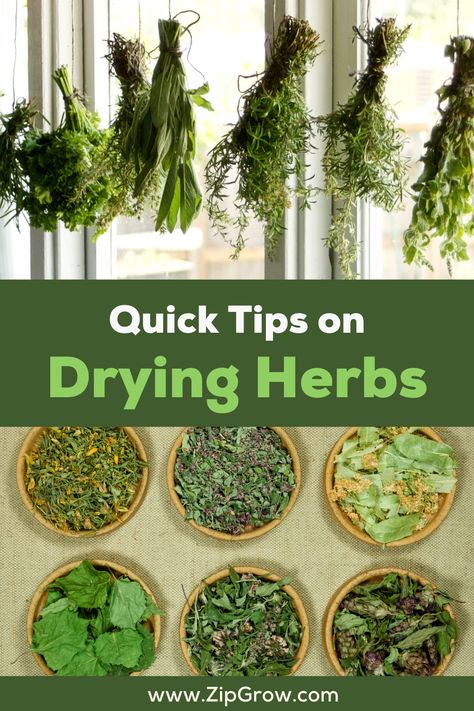 Drying fresh herbs is a great way to preserve the flavors and aromas of your favorite herbs. It’s easy to do and an excellent way to save money and reduce food waste. Hanging Herb Drying Rack Diy, Drying Herbs Hanging Rack Diy, Herb Hanging Rack, Hang Drying Herbs, Diy Drying Rack Herbs, Diy Herb Drying Rack Ideas, Hanging Herbs To Dry, Hanging Herbs In Kitchen, Hang Herbs To Dry