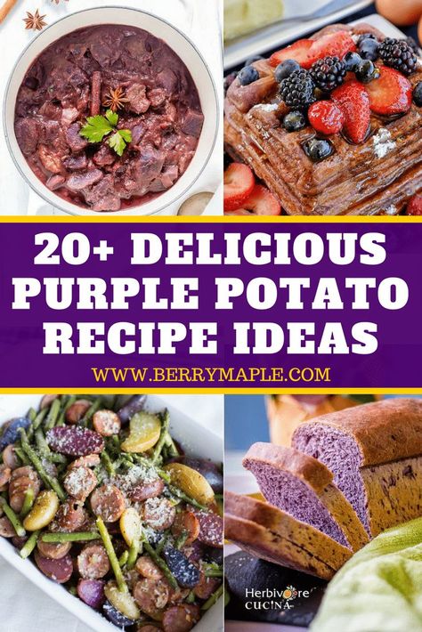 Purple potatoes recipe ideas! Here you can find how to cook roasted purple potatoes, mashed and so much more! A lot of vegan recipes too #purplepotatoes Purple Potluck Food, Small Purple Potatoes Recipe, Recipes With Purple Potatoes, Purple Appetizers For Party, Purple Appetizers, Purple Food Ideas, Purple Foods For Party, Purple Potato Recipe, Purple Potatoes Recipe