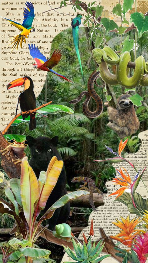 Project Cover Ideas, Jungle Collage, Wildlife Biology, Jungle Animal Art, Mother Earth Art, Wild Animal Wallpaper, Jungle Birds, Jungle Life, Wildlife Biologist