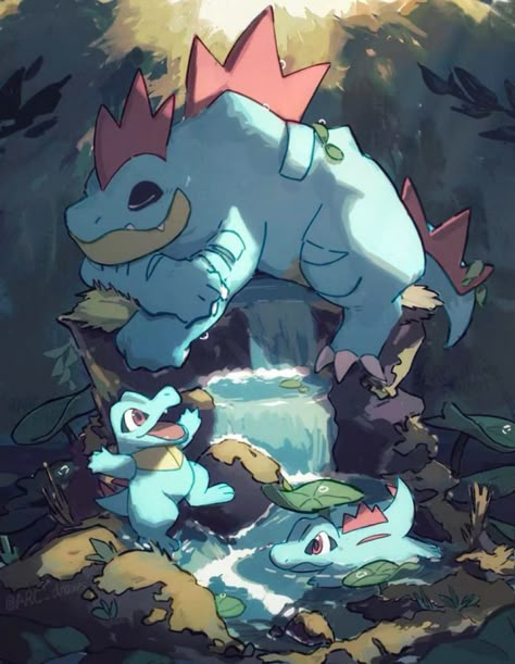 Pokemon Totodile, Pokemon Terrarium, Pokemon Room, Pokemon Starters, Pokemon Backgrounds, Wild Pokemon, Pokemon Tattoo, Pokemon Pins, Pokemon Drawings