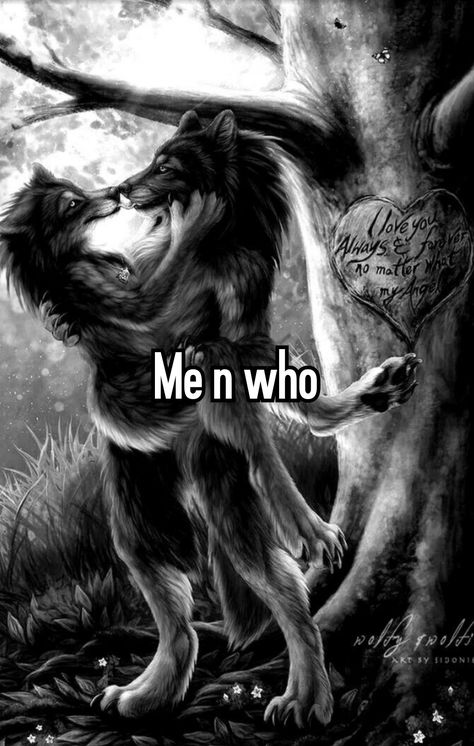 Alpha Wolf Art, Wolf Sitting, Me N Who, Lup Singuratic, Wolf Meme, Alpha Werewolf, Alpha Wolf, Wolf Pictures, The Alpha