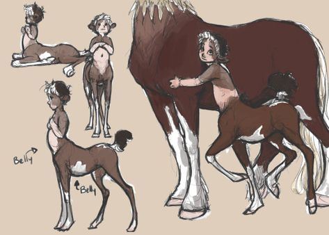 Centaur Character, Centaur Character Art, Centaur And Human Couple, Half Human Half Animal Character Design, Centaur Types, Pregnant Centaur Art, Izu, Fantasy Creatures Art, Mythological Creatures