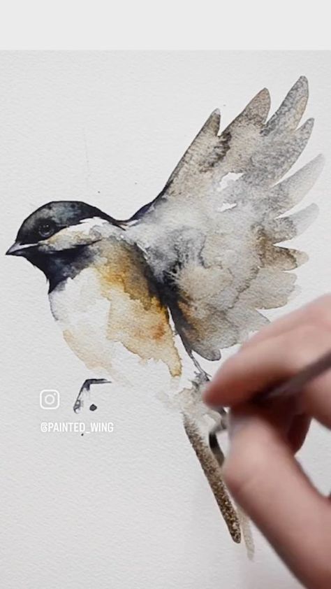 Kiley Busko | Repost, watercolor chickadee Full tutorial on YouTube:) | Instagram Watercolour Birds Simple, How To Paint A Chickadee, Chickadee Sketch, Watercolour Cards Simple, Water Painting Ideas, Watercolor Chickadee Tutorial, Chickadee Illustration, Watercolour Chickadee, Watercolor Chickadee