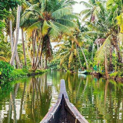 Allepy backwaters, Kerala, India Get Paid To Travel, Paid To Travel, India Kerala, Foreign Countries, Kerala India, Rent A Car, Nature Scenes, Travel Fun, Kerala