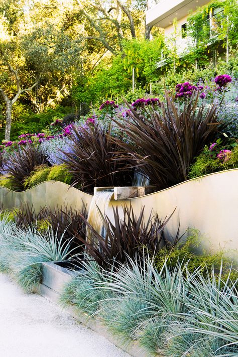 Low Water Plants, Blue Fescue, Plant Combos, Landscaping Inspiration, Garden Shrubs, Native Garden, Drought Tolerant Plants, Plant Combinations, Landscaping With Rocks