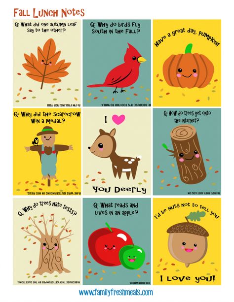 Halloween Lunchbox Ideas and Free Lunchbox Notes Halloween Lunchbox Ideas, Halloween Lunchbox Notes, Halloween Lunch Box Notes, Lunch Jokes, Lunchbox Printables, Fall Lunch, Kids Lunch Box Notes, Halloween Lunch Box, Thanksgiving Lunch