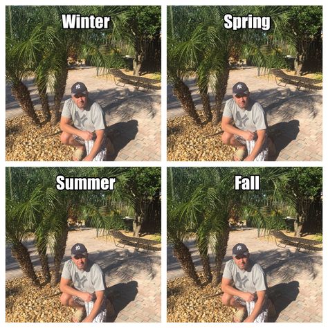 On behalf of the first day of Fall 2018 in South Florida!😉🌴😎#fall #Florida Florida Funny, Florida Fall, First Day Of Fall, Fall 2018, South Florida, Autumn Summer, First Day, The First, Florida