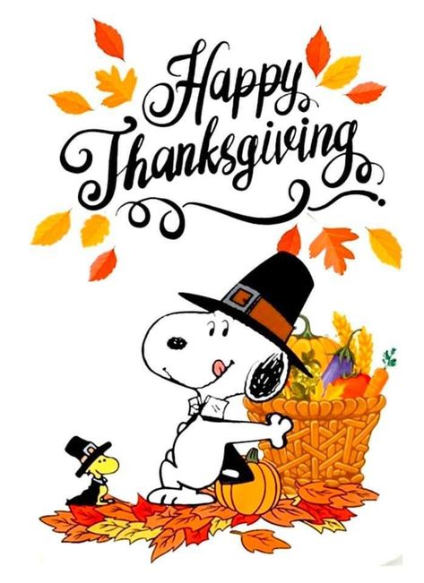 Thanksgiving Snoopy, Happy Thanksgiving Wallpaper, Peanuts Thanksgiving, Happy Thanksgiving Pictures, Happy Thanksgiving Images, Charlie Brown Thanksgiving, Thanksgiving Pictures, Thanksgiving Wishes, Snoopy Funny