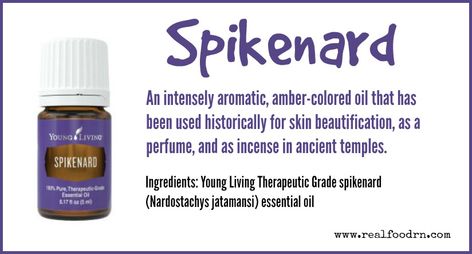 Spikenard Essential Oil Spikenard Essential Oil, Best Tea Brands, Tea Brands, Ancient Temples, Best Tea, Young Living, Real Food, Real Food Recipes, Incense