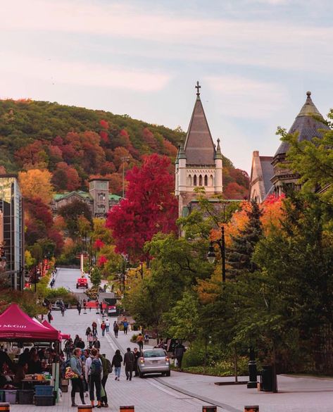 MTL Nouvelles on Instagram: “L’université McGill 😍🍁🍂🍃| 📸@beauty__of__canada #livemtl #livemontreal #mtl #montreal #514 #canada #explorecanada #fall #fallcolors #autumn…” Vision Board Mom, What Like Its Hard, Academia Story, Romanticizing College, Dream University, Living In Canada, Trip To Canada, Ipad Screen, Semester Abroad