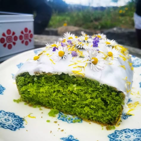 Nettle Cake, Simple Sponge Cake, Fairy Recipes, Nettle Recipes, Plant Recipes, Cake Preparation, Wild Food Foraging, Foraging Recipes, Products I Love