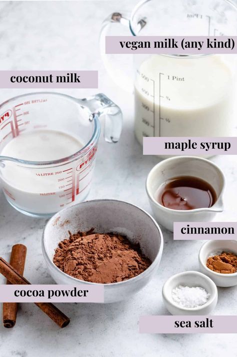 Using coconut milk gives this plant-based hot cocoa a rich, creamy mouthfeel just like you get from dairy. Plus, find out the unexpected ingredient I ALWAYS add for perfect hot chocolate! Coconut Milk Hot Chocolate, Coconut Milk Recipes Dessert, Best Coconut Milk, Coconut Milk Dessert, Lion Diet, Perfect Hot Chocolate, Milk Recipes Dessert, Coconut Milk Drink, Matcha Hot Chocolate