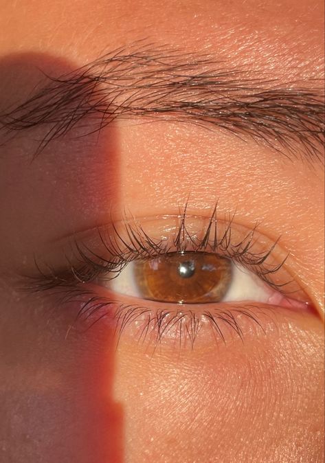 Brown Eyes In The Sun Aesthetic, Light Brown Eyes Aesthetic, Brown Eyes In Sunlight, Brown Eyes In The Sun, Httyd Aesthetic, Pretty Eyes Color, Prettiest Eyes, Belle And Adam, Brown Eyes Aesthetic