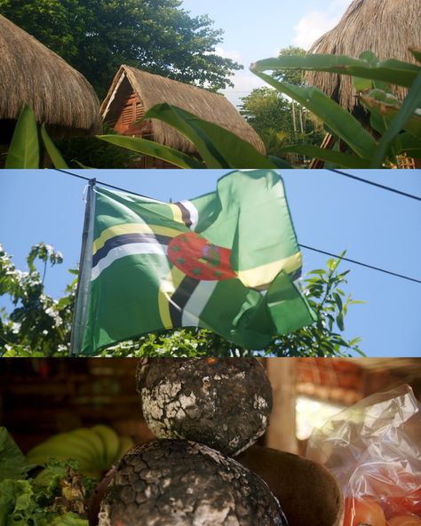 Postcards from Dominica 🇩🇲🫶🏼💌📸 #summer #blackgirltravel #Dominica Dominica Flag, Pink Aura, Sweet Floral, Light Makeup, West Indies, African Beauty, 2025 Vision, Floral Scent, Archipelago