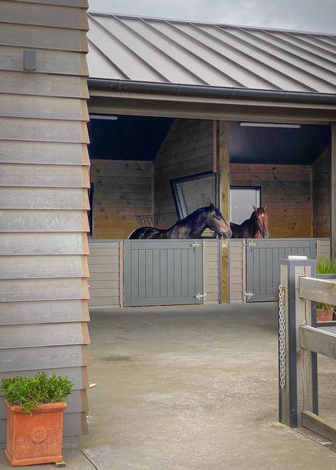 Ascot Stables | Design and Build project | Harrison Lane Mc Stable, Horse Stables Design, Horse Shelters, Equine Stables, Small Horse Barns, Stable Yard, Barn Remodel, Equestrian Stables, Equestrian Barns