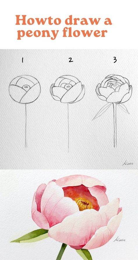 How To Draw Dahlia, Draw A Peony, Flowers For Beginners, Minimal Tattoo Designs, Ar Art, How To Draw Flowers, Peony Drawing, Flower Petal Art, Petal Art