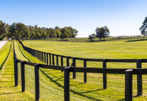 No Climb Horse Fence, Farm Fence Ideas, Acreage Ideas, Horse Yard, Farm Fences, Farm Fencing, Pasture Management, Fence Planning, Horse Pasture