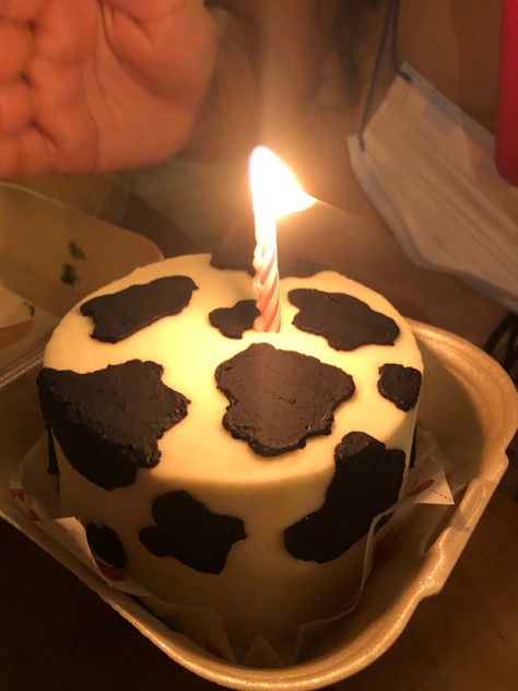 Aestethic Birthday Cake, Cake Cow, Cow Aesthetic, Cow Cakes, Box Cake, Baby Cake, Cute Cakes, Cake Ideas, Sweet 16