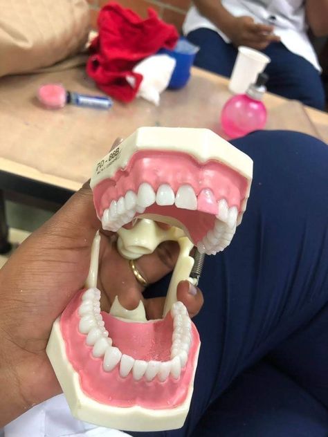 Rose Book Aesthetic, Naomi Westfield, Rose Book, Dental Aesthetics, Dentistry Student, Dental Fun, Aesthetic Roses, Scrub Life, Dental School