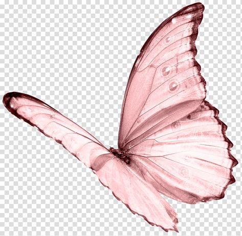 White Butterfly, Butterfly Wallpaper, Butterfly Art, Pink Butterfly, Pink Aesthetic, Cute Icons, Google Drive, Henna, Transparent Background