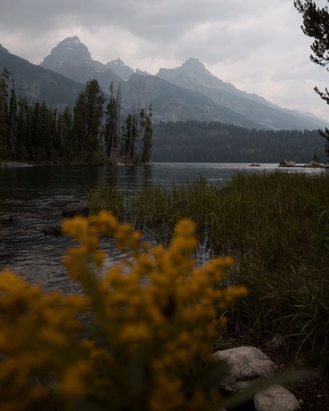 Tails from the Tetons: A Virtual Field Trip to Taggart Lake 📍Taggart Lake Loop 🥾3.8 Miles Round Trip ⏳1-2 Hours ⛰️423 Ft. Elevation gain 💪 Easy/Moderate 🔁 Loop trail 🤫 Many Humans after 8 am ⭐ 4.8/5 The Taggart Lake Loop is another popular trail at Grand Teton National Park. This hike offers stunning views of the Teton range and the option to see Bradley Lake. Here’s what you need to know: 👉 As always, start early. As one of the easier trails in the park, the parking lot fills up quickl... Taggart Lake, Virtual Field Trips, Round Trip, Parking Lot, Field Trip, Stunning View, The Park, National Park, National Parks