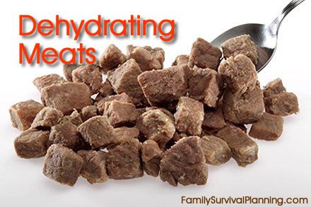 How To Dry Meat, Dehydrating Meat Food Storage, Dehydrating Meat, Dehydrated Meat, Preserve Meat, Preserving Meat, Dehydrating Recipes, Danny Dog, Dehydrating Food Storage