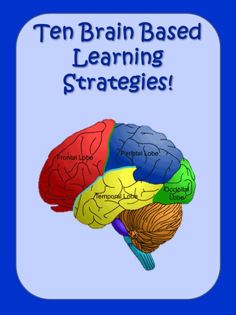 Elementary Matters: Ten Brain Based Learning Strategies Brain Based Learning Strategies, Brain Based Learning, Brain Learning, Readers Theater, Whole Brain Teaching, Instructional Strategies, Learning Strategies, School Psychology, Learning Styles