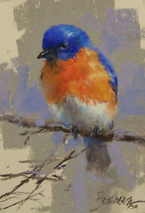 Bluebird Painting, Pastel Artwork, Paintings I Love, Arte Animal, Watercolor Bird, Pastel Art, Blue And Orange, Pastel Painting, Bluebird