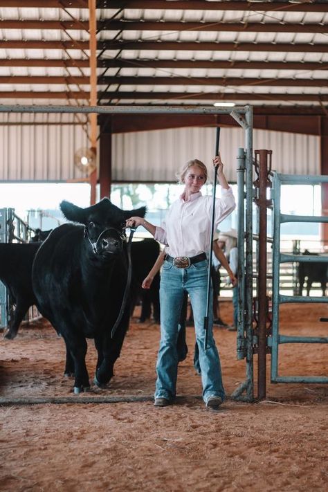 Showmanship Outfit Livestock, Black Cows, Show Cattle Photography, Livestock Showing, Showing Cattle, Cattle Show Outfits, Livestock Show Outfits, Showmanship Outfit, Western Summer Outfits