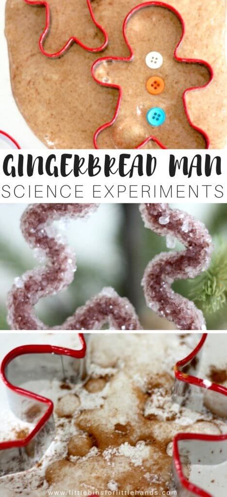 Gingerbread Stem Activities, Gingerbread Man Science, Gingerbread Man Stem, Gingerbread Activities Preschool, Gingerbread Man Games, Gingerbread Man Preschool, Preschool Gingerbread, Gingerbread Man Unit, Prek Christmas