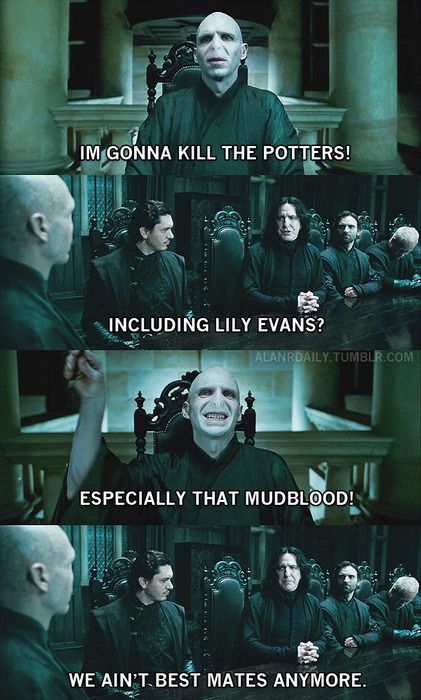 Harry Potter And His Friends, Glume Harry Potter, Funny Harry Potter Jokes, Harry Potter Severus Snape, Harry Potter Illustrations, Harry Potter Severus, Harry Potter Memes Hilarious, Harry Potter Puns, Harry Potter Pin