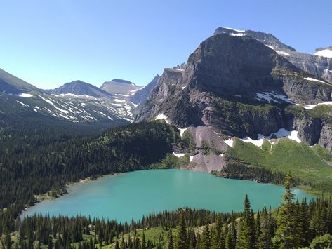 Grinnell Lake is a turquoise beauty nestled under Glacier National Park's towering, glacier-carved mountains. The hike is jam packed with jaw-dropping views including those of Lake Josephine, Mount Gould, Grinnell Falls, and the massive eastern face of the Garden Wall. Start the hike from the Swiftcurrent picnic area parking lot. The trail winds through thick tree growth with a quick crossing over Swiftcurrent Creek. If you’re hiking early in the morning, be sure to make plenty of noise on the Glacier National Park Vacation, Grinnell Lake, Grinnell Glacier, Many Glacier, Tree Growth, Snow Trip, National Park Vacation, Boat Dock, Glacier National