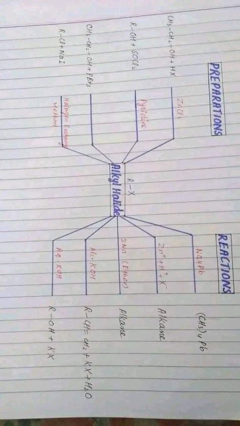 Preparation of alkyl halide chemical asad Mind Map Notes, Chemistry Flashcards, Med Notes, Organic Chem, Neet Notes, Study Blog, Organic Chemistry Study, Hand Written Notes, Laboratory Scientist