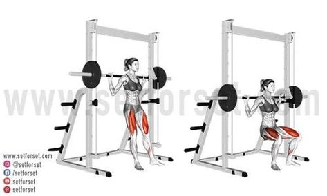 Free Weight Squats, Squats Muscles Worked, Smith Machine Squat, Hip Extension Exercise, Smith Machine Workout, Machine Exercises, Benefits Of Squats, Squat Form, Squat Variations