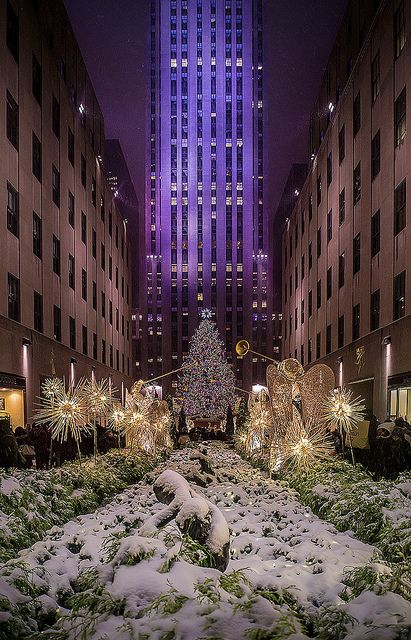 Snow on the Christmas Tree, Rockefeller Center, NYC Christmas Tree Rockefeller Center, Christmas Tree New York, New York Rockefeller Center, Modern Farmhouse Industrial, Coastal Modern Farmhouse, Rockefeller Center Christmas Tree, New York City Christmas, Christmas In Nyc, Big Christmas Tree