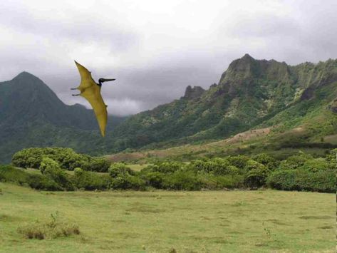 The Mystical Place In Hawaii Where Dinosaurs Once Roamed-  In fact, this lush Hawaiian valley was one of the primary filming locations for both the original Jurassic Park films and the new Jurassic World movies- While much of Jurassic Park was filmed on the island of Kauai, the most accessible filming location for the popular movie franchise is found on Oahu New Jurassic World, Jurassic Park Film, Kualoa Ranch, Magic Places, Mystical Places, Hawaiian Islands, Filming Locations, Hawaii Travel, Jurassic World