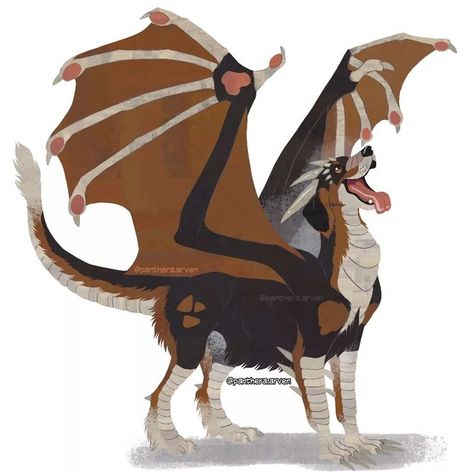 Bunny Dragon Hybrid, Dragon Dog Hybrid, Dog Dragon Art, Dog Dragon, Dragon Dog, Human Dragon Hybrid, Hybrid Animals, Human Animal Hybrid Art, Dog Artist