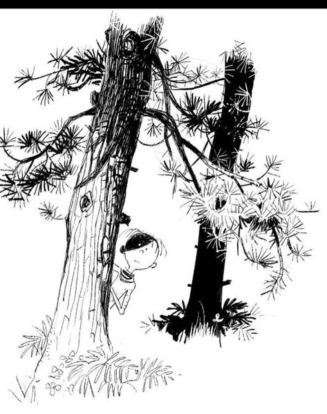 Designer Disney, Pine Tree Drawing, Ink Drawing Techniques, Movie Collage, Forest Drawing, Shutter Photography, Tree Sketches, Character Designer, Plant Drawing